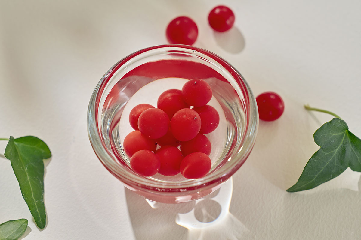 オミジャ（五味子）とは | SIORIS シオリス 日本公式サイト